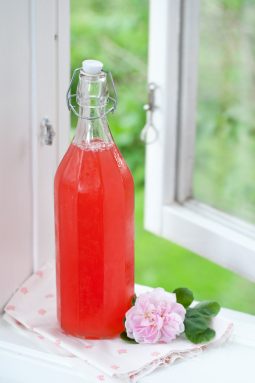 Rabarbersaft1