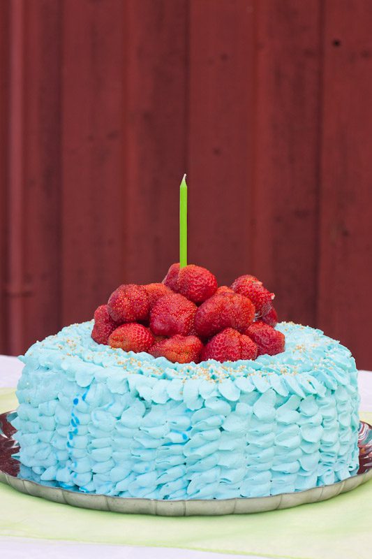 Födelsedagstårta 2