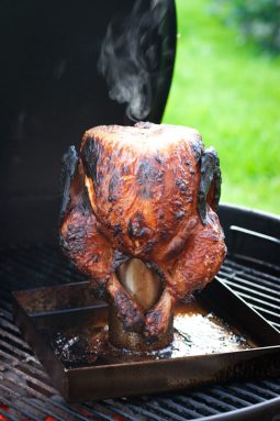 Chicken 1