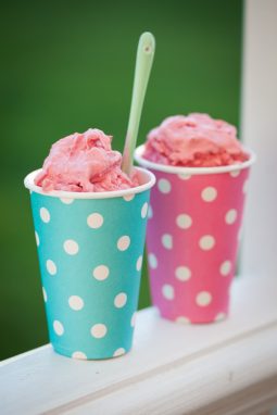 Frozenyogurt 1