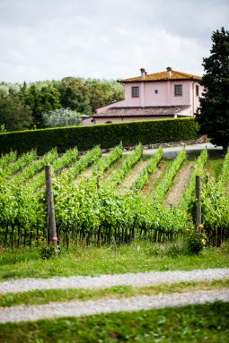 Toscana 9