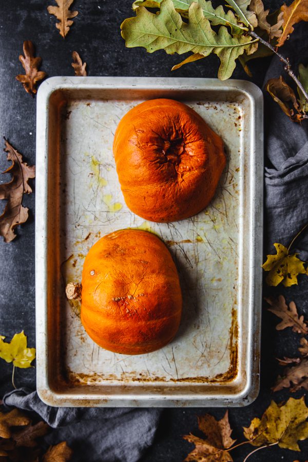 butternutpumpa, pumpa, halloween,