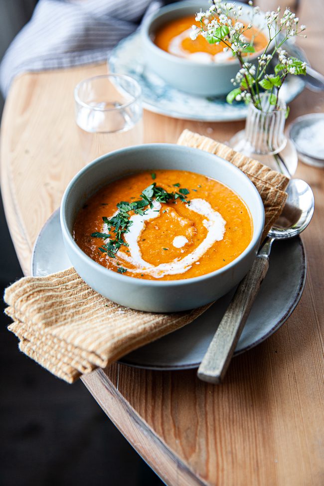 soppa, grönsakssoppa, 