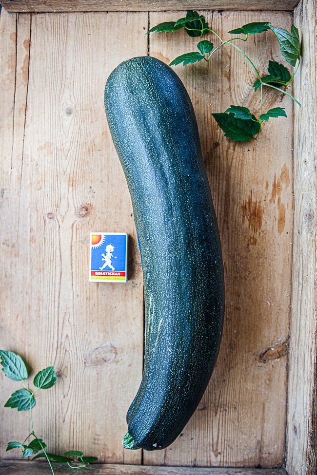 tzatziki med squash